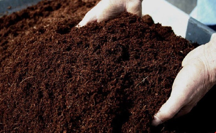 ورمی کمپوست خالص گیاهی