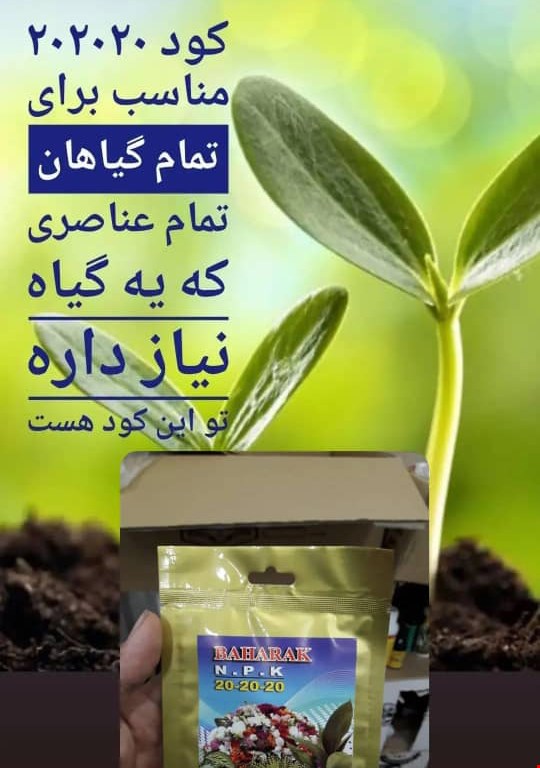 کود 20 20 20
