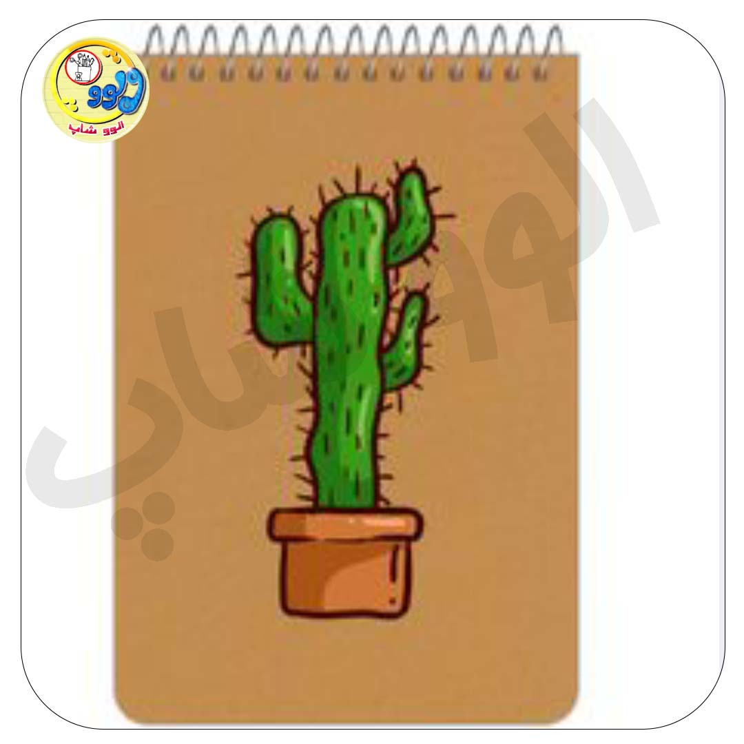 یک عدد مطابق عکس